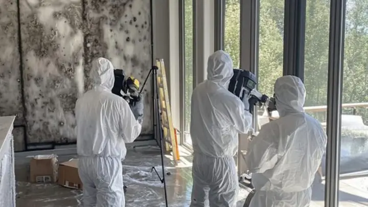 Team in protective suits working in a large room with tall windows