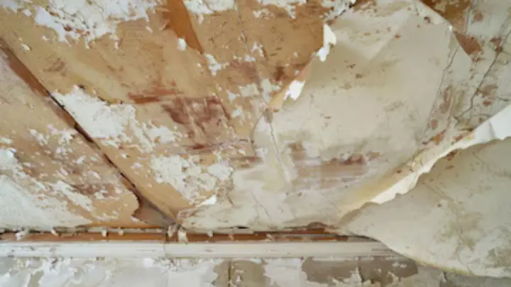 Peeling, water-damaged ceiling plaster and paint